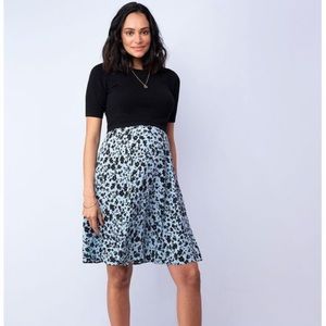 Seraphine Blue Floral Maternity & Nursing Dress